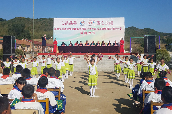 第65所 开原市上肥镇开云手机在线官网佟玲小学